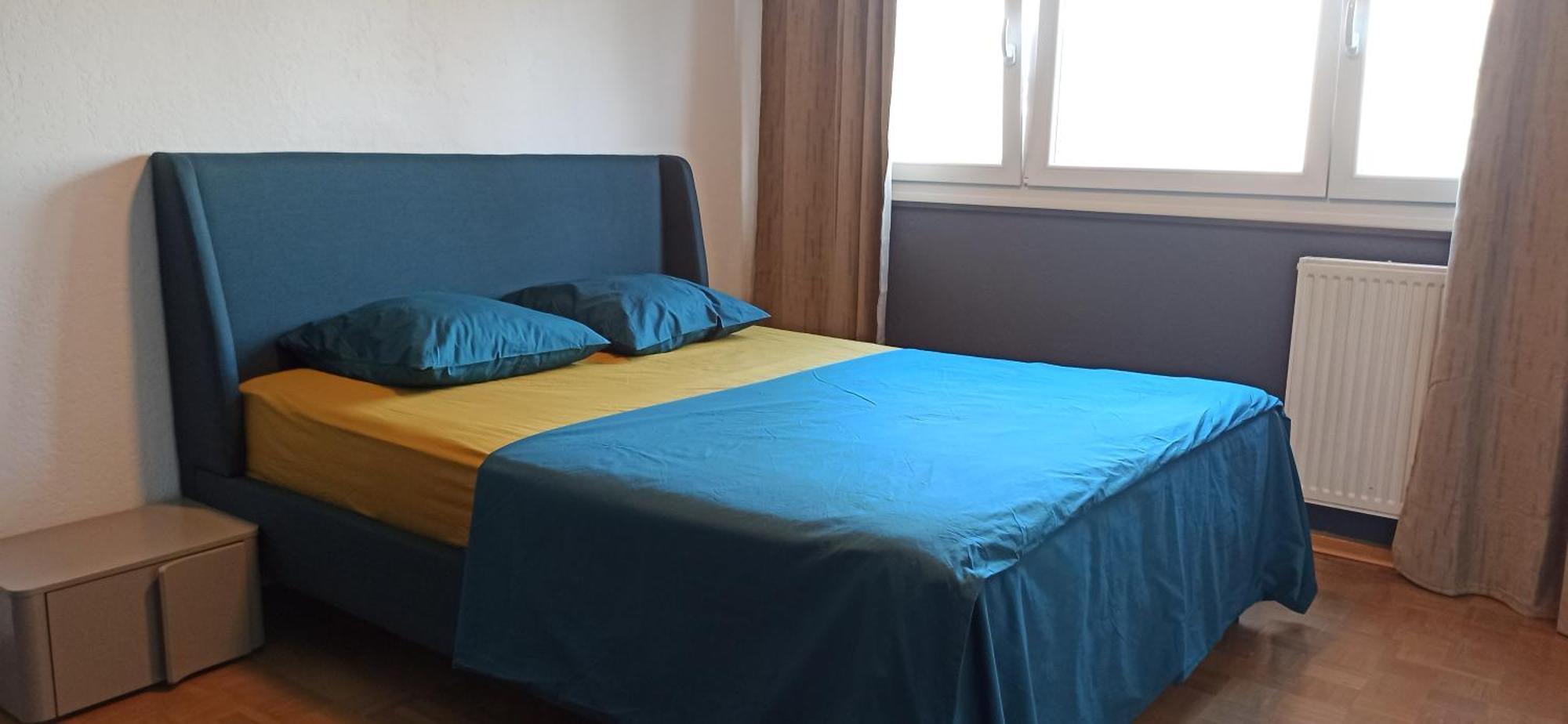 2 Louis - Euroairport - Basel - Train Station Apartment *